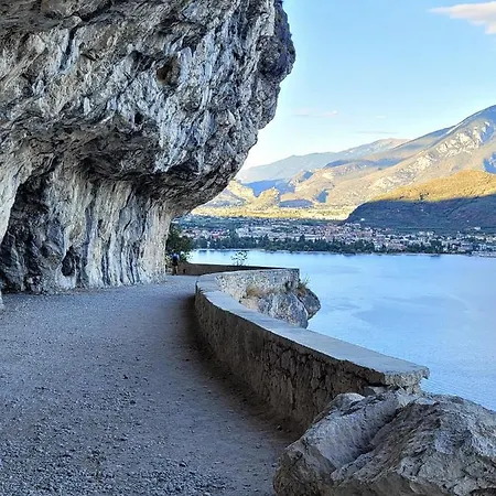 La Betulla Appartamento *