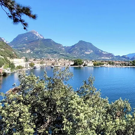 La Betulla Arco